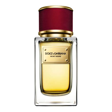 desire dolce gabbana prix maroc|velvet rose dolce and gabbana.